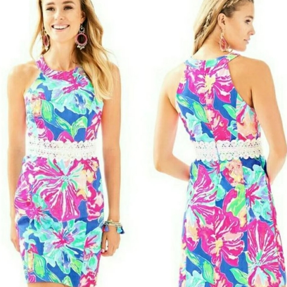 ashlyn shift dress